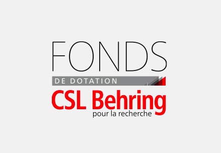 fond-dotation-2025 fonds